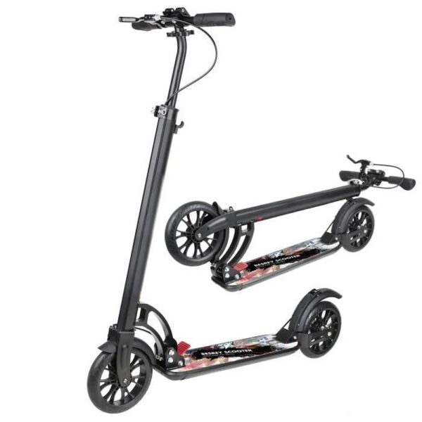 Trottinette adulte BESREY Fashion City